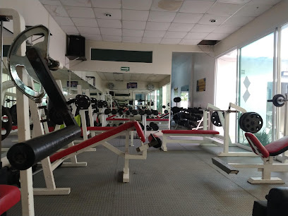 ADRIAN,S GYM - Av. Enrique Mont Solórzano 117, Arcadia, 75760 Tehuacán, Pue., Mexico