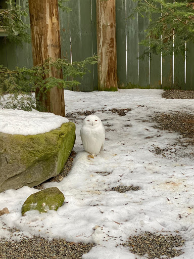 Environmental Organization «VINS Nature Center», reviews and photos, 6565 Woodstock Rd, Quechee, VT 05059, USA