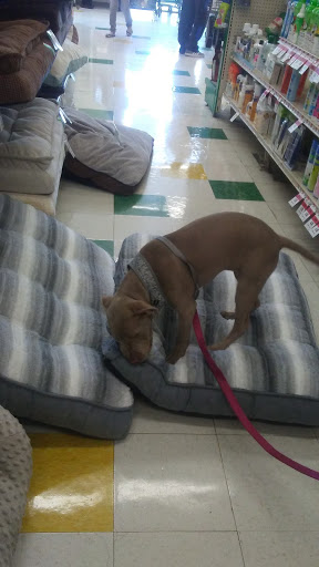 Pet Supply Store «Pet Supplies Plus», reviews and photos, 625 Southern Artery, Quincy, MA 02169, USA