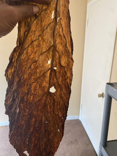 Tobacco Shop «Leaf Only», reviews and photos, 440 Middlefield St, Middletown, CT 06457, USA