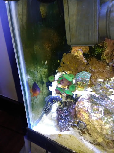 Pet Store «All Pets Club», reviews and photos, 1167 N Colony Rd, Wallingford, CT 06492, USA