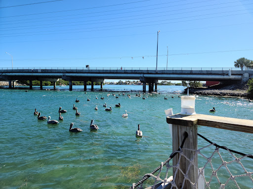 Aquarium «Florida Keys Aquarium Encounters», reviews and photos, 11710 Overseas Hwy, Marathon, FL 33050, USA