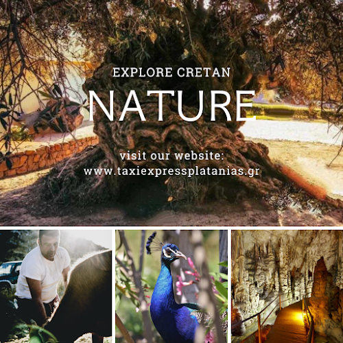 Αριθμός τηλεφώνου Taxi Express Platanias