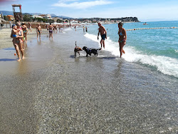Photo de Soleluna Beach et le règlement