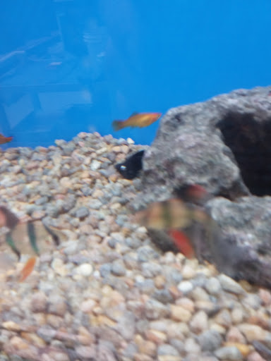 Pet Supply Store «Petco Animal Supplies», reviews and photos, 35 Waite Ave N, Waite Park, MN 56387, USA