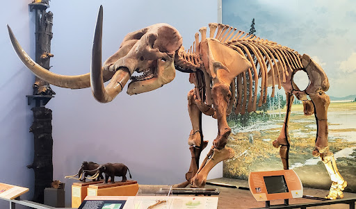 Museum «Museum of the Earth», reviews and photos, 1259 Trumansburg Rd, Ithaca, NY 14850, USA