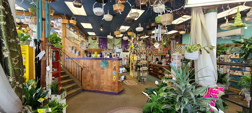 Florist «Floral Boutique», reviews and photos, 13 N 5th St, Stroudsburg, PA 18360, USA