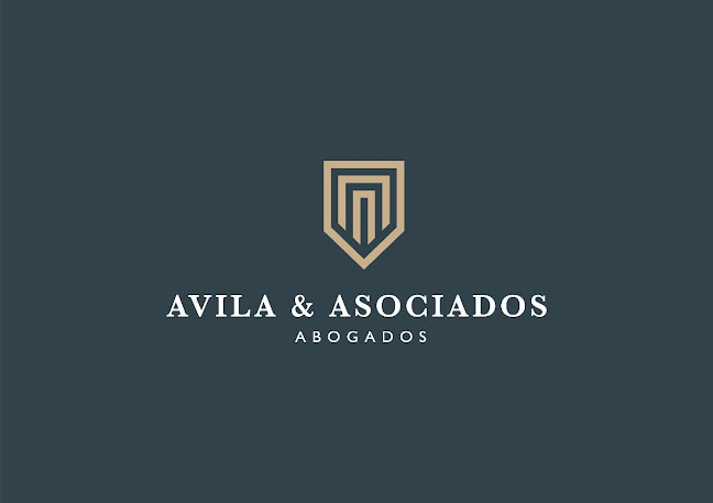 Avila & Asociados Abogados - Manta