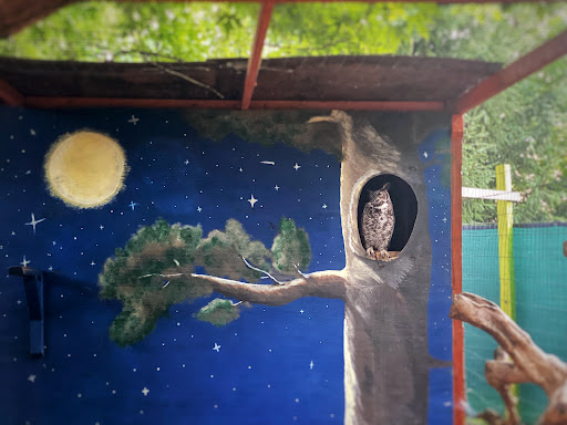 Farm «Wild Hearts Zoo - African Farm and Petting Zoo», reviews and photos, 8079 Salem Rd, Lewisburg, OH 45338, USA