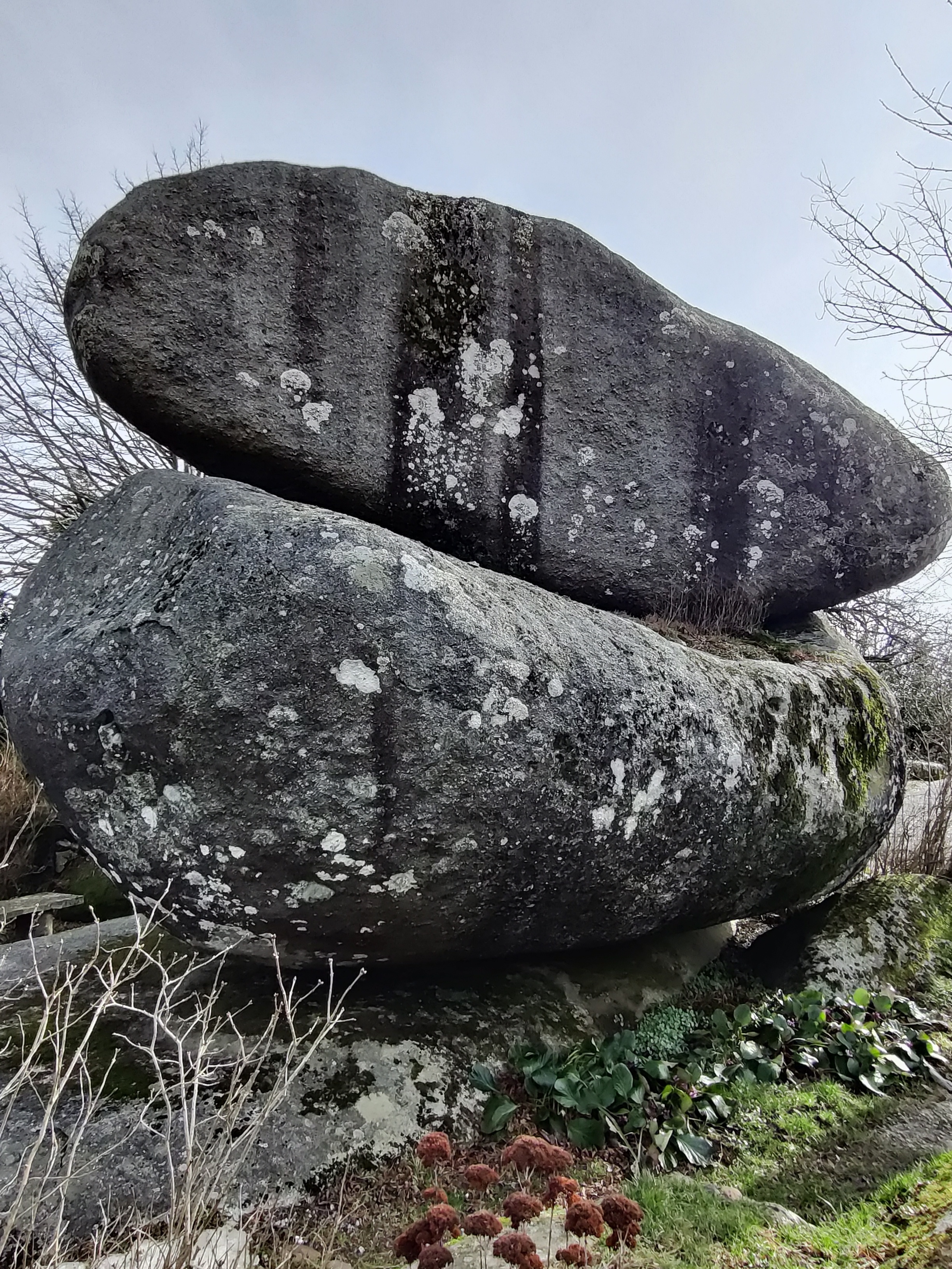 Photo n° 1 de l'avis de Dom..e fait le 13/02/2022 à 12:28