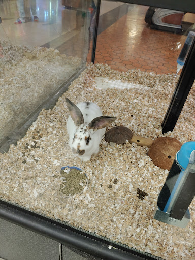 Pet Supply Store «Your Pet Experts», reviews and photos, 1665 State Hill Rd #490, Wyomissing, PA 19610, USA