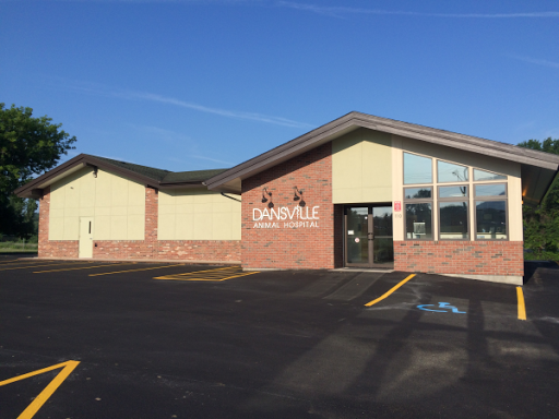 110 Clara Barton St, Dansville, NY 14437, USA