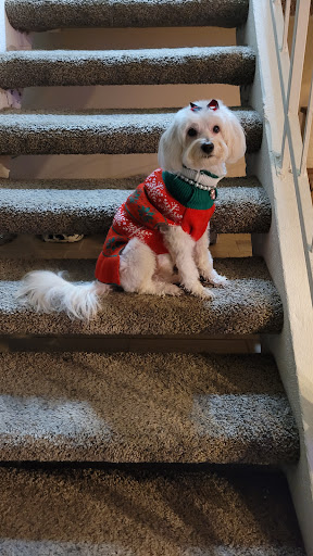 Pet Supply Store «Petco Animal Supplies», reviews and photos, 1835 E Guadalupe Rd #112, Tempe, AZ 85283, USA