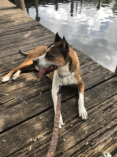 Park «Lowry Park», reviews and photos, 7525 North Blvd, Tampa, FL 33604, USA