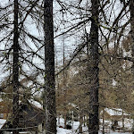 Photo n°4 de l'avis de Fulvia.o fait le 18/03/2024 à 20:06 sur le  Ristorante Hotel Locanda Belvedere à Courmayeur