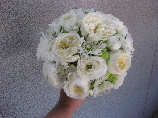 Florist «Westgate Flower & Plant Shop», reviews and photos, 841 S Oak Park Ave, Oak Park, IL 60304, USA