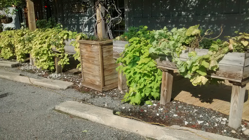 Seafood Restaurant «Hieronymus Seafood Restaurant & Oyster Bar», reviews and photos, 5035 Market St, Wilmington, NC 28405, USA