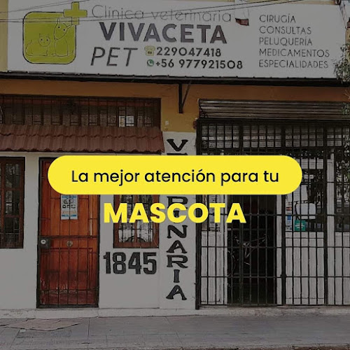 Clinica Veterinaria Vivaceta Pet - Independencia