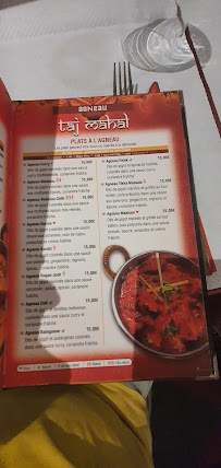 Curry du Taj Mahal | Restaurant Indien Draguignan - n°13