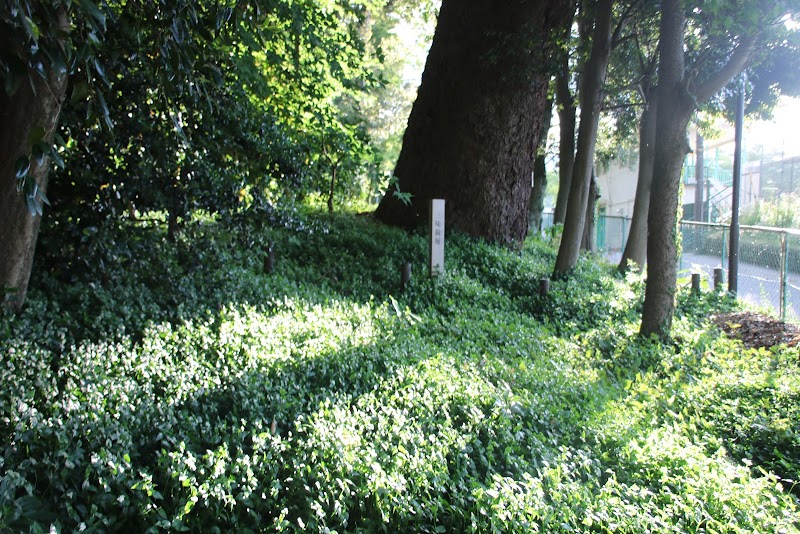 小田原城 三味線堀