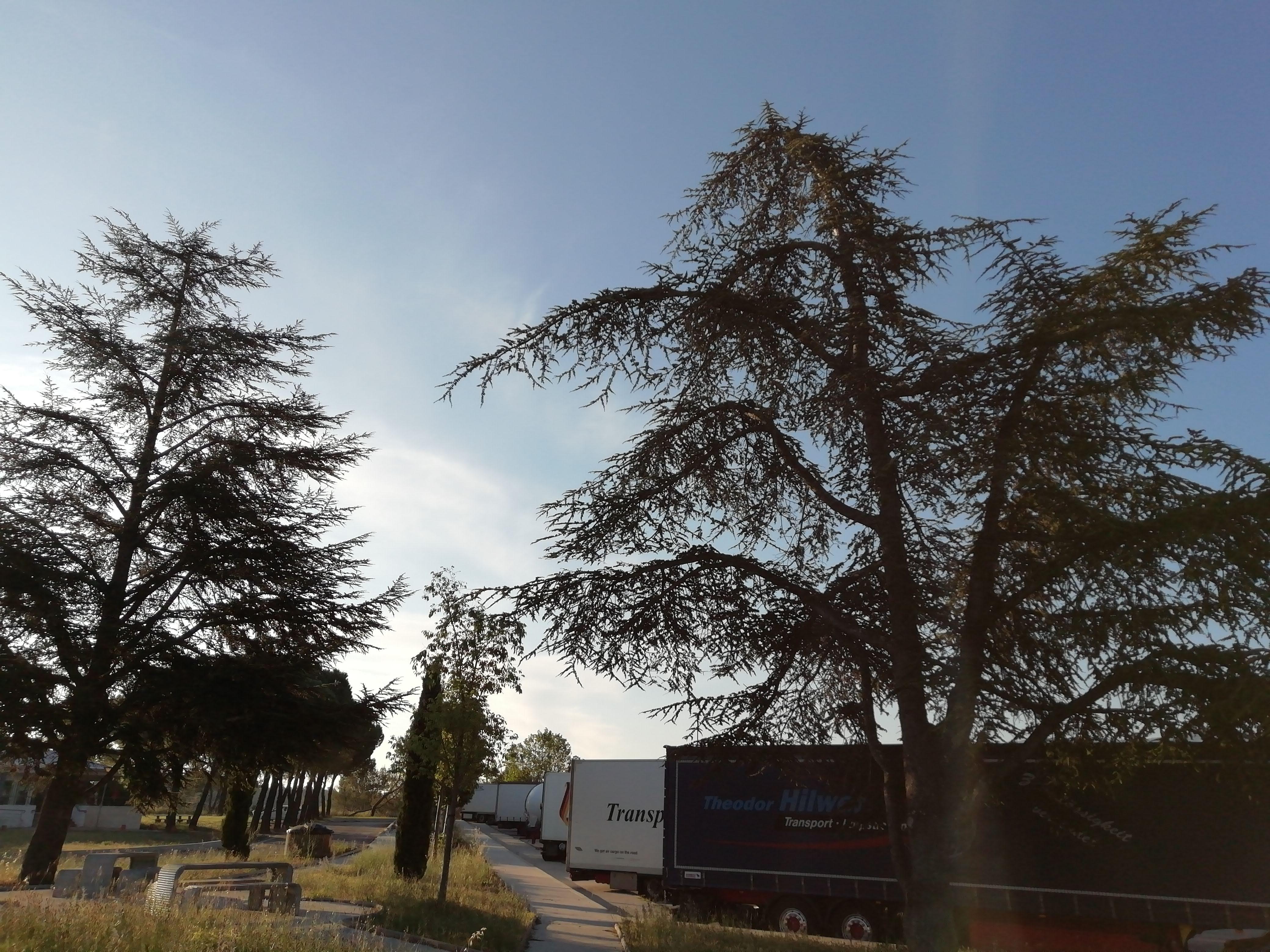 Photo n° 2 de l'avis de Serzh. fait le 04/06/2019 à 13:52