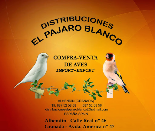 El Pájaro Blanco