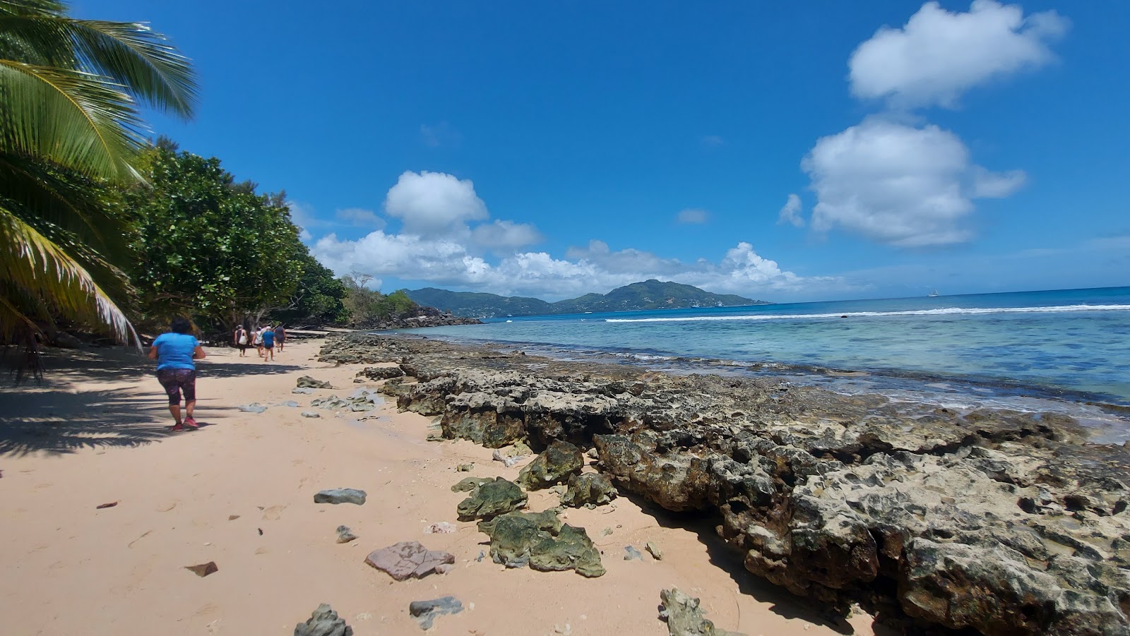 Anse Cabot Beach'in fotoğrafı geniş bir kıyı şeridi ile birlikte