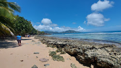 Anse Cabot Beach'in fotoğrafı geniş bir kıyı şeridi ile birlikte