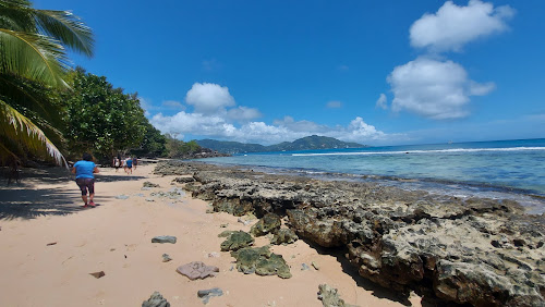 Anse Cabot Beach photo #2