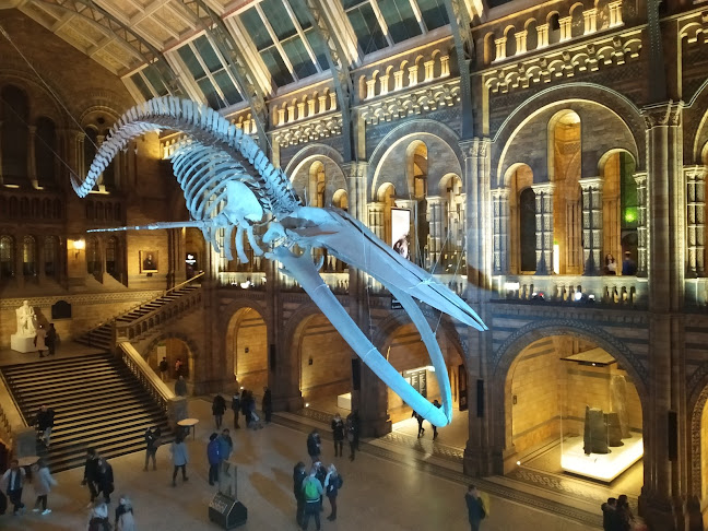 Natural History Museum / Cromwell Road (Stop GM)