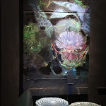 Photo n°1 de l'avis de Maria.. fait le 12/09/2020 à 20:49 sur le  Botanic District à Hamburg