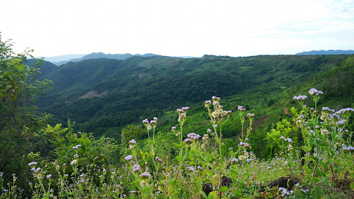 Top 20 cửa hàng làm đẹp Huyện Ba Tơ Quảng Ngãi 2022