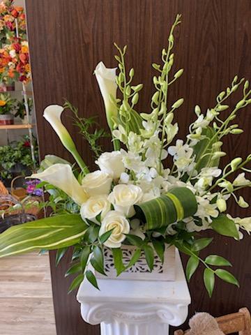 Florist «A Daisy A Day», reviews and photos, 749 Silas Creek Pkwy, Winston-Salem, NC 27127, USA