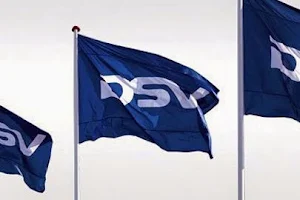 DSV image