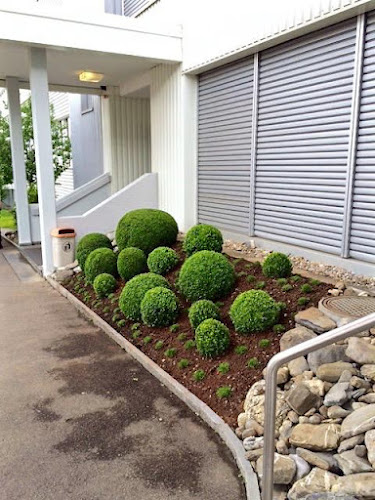 Opinii despre Blumen + Gartenbau Sigrist GmbH în Arbon - Gartenbauer