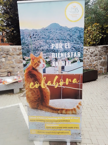 Manzanares Felina (Asociación Protectora de Animales de Manzanares el Real)