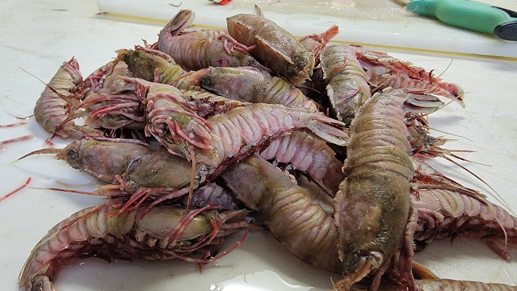 Hornbelly Seafood Melbourne, FL 32901, Reviews, Hours & Contact