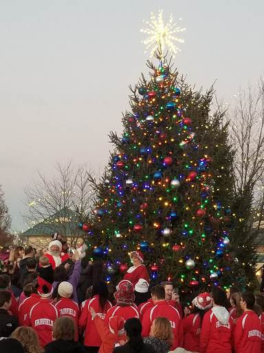 Arts Organization «Fairfield Community Arts Center», reviews and photos, 411 Wessel Dr, Fairfield, OH 45014, USA