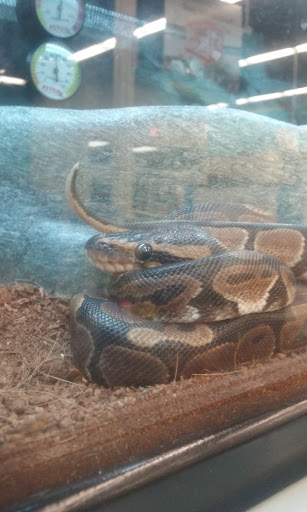 Pet Supply Store «Petco Animal Supplies», reviews and photos, 19767 Haynes Road, Catoosa, OK 74421, USA