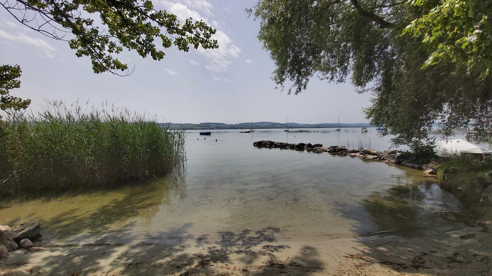 Foto di Plage de Sugiez con una superficie del erba