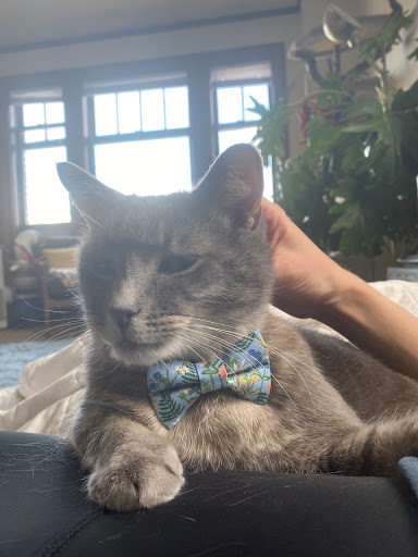 Pet Store «Firehouse Pet Shop & Grooming», reviews and photos, 17 S Wenatchee Ave, Wenatchee, WA 98801, USA