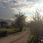 Photo n°16 de l'avis de Michele.e fait le 20/02/2021 à 18:40 sur le  Sulla Collina à Castelnuovo di Farfa