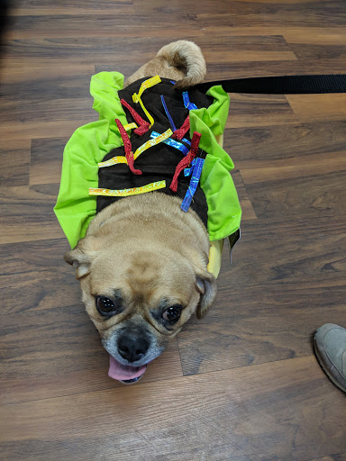 Pet Supply Store «Pet Valu», reviews and photos, 150 Main St, Lodi, NJ 07644, USA