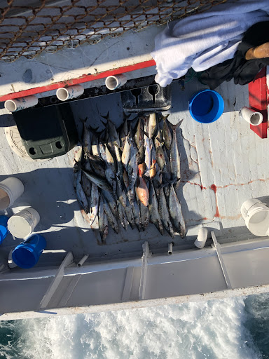 Fishing Charter «Fort Pierce Lady Deep Sea Fishing», reviews and photos, 480 N Indian River Dr, Fort Pierce, FL 34950, USA