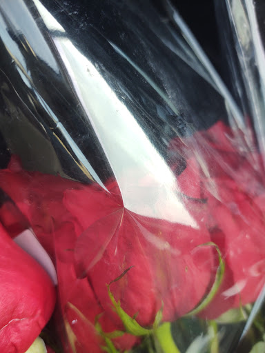 Florist «Thrifty Florist», reviews and photos, 211 S Telegraph Rd, Pontiac, MI 48341, USA