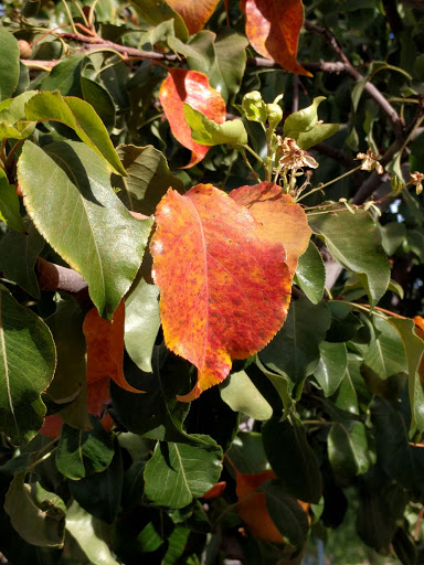 Park «Daley Park», reviews and photos, 1625 S College Ave, Tempe, AZ 85281, USA