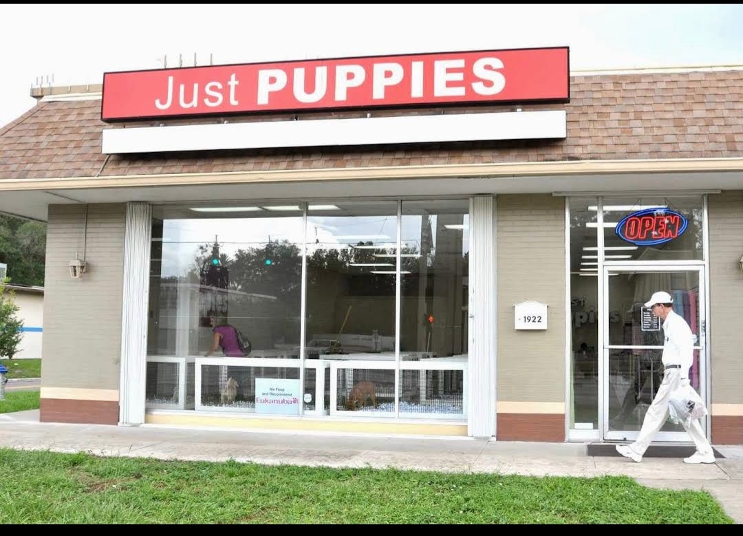 Just puppies