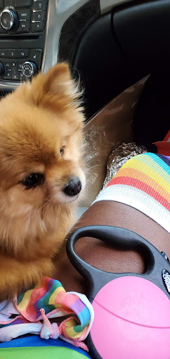 Shopping Mall «Gaviidae Common», reviews and photos, 651 Nicollet Mall #125, Minneapolis, MN 55402, USA