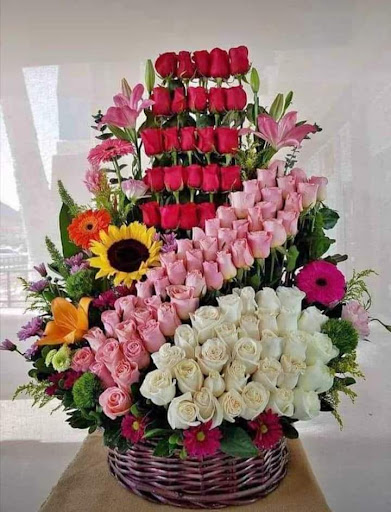 Grocery Store «Fiesta Mart», reviews and photos, 1603 Spencer Hwy, South Houston, TX 77587, USA