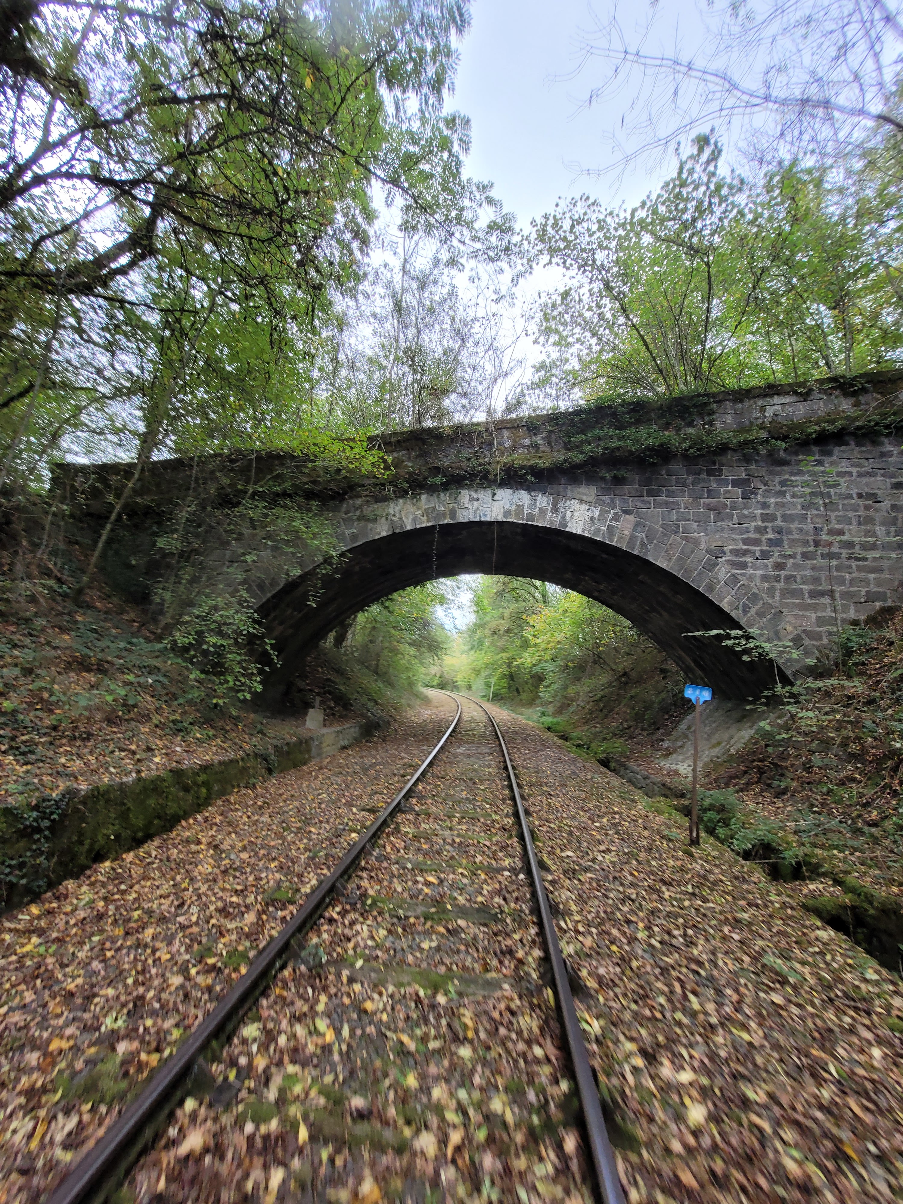Photo n° 1 de l'avis de reivilO.R fait le 26/10/2022 à 19:52
